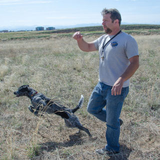Denver Dog Trainers: Thomas Aaron CPDT-KA, ABCDT