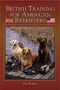 British Training for American Retrievers. Dog training in Denver