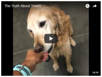 The Truth About Treats