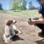 Outdoor dog training in Denver, Colorado